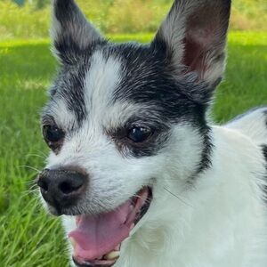 Meet your Posher, Timothy